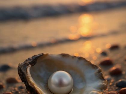  Shell изменил дизайн упаковки